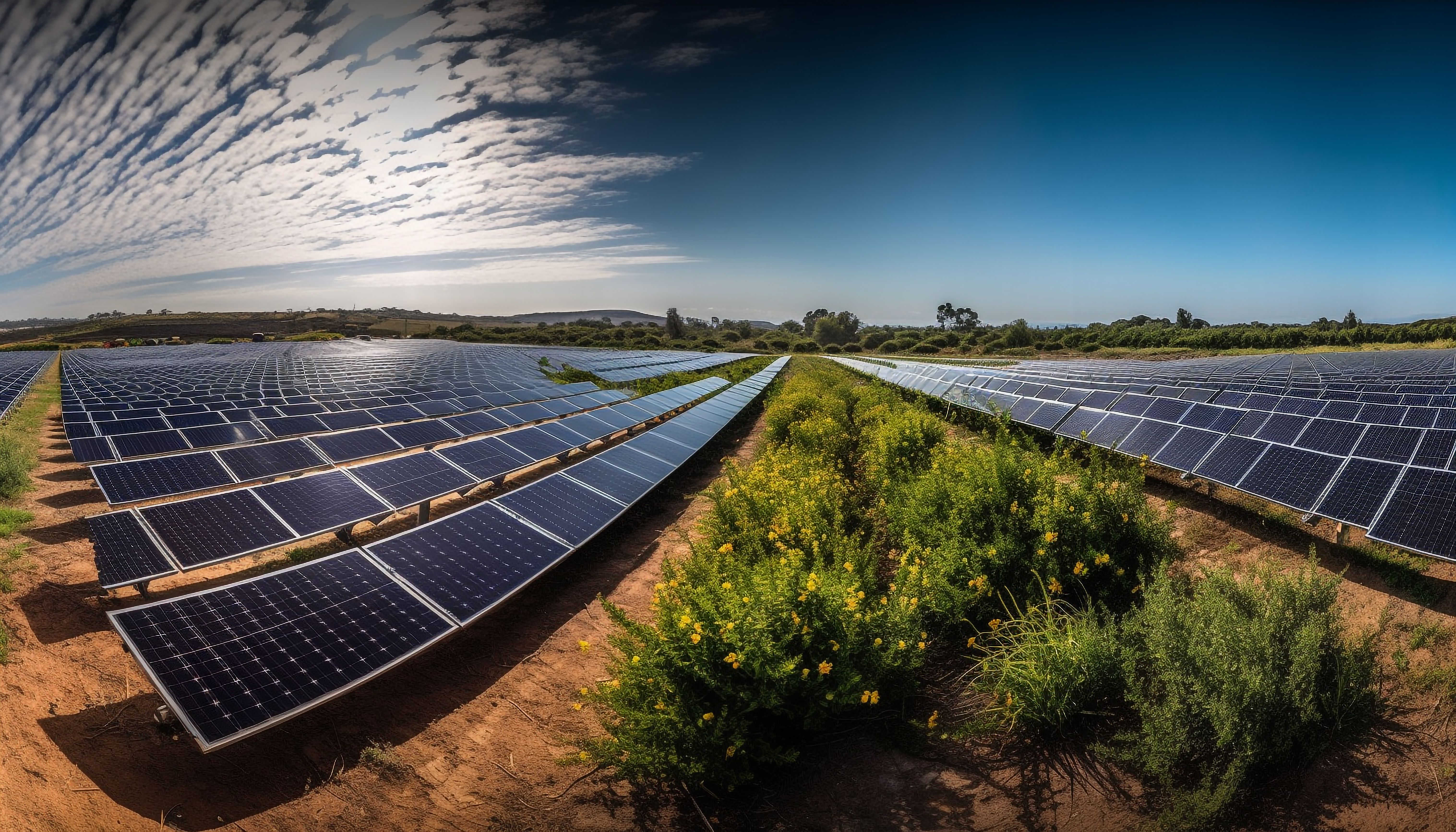Solar-powered agricultural water pump